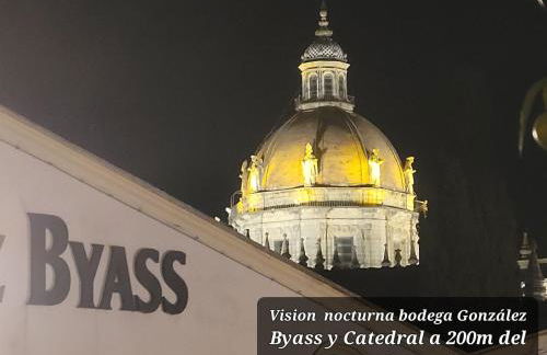 Jerez Centro Historico - Foto 48