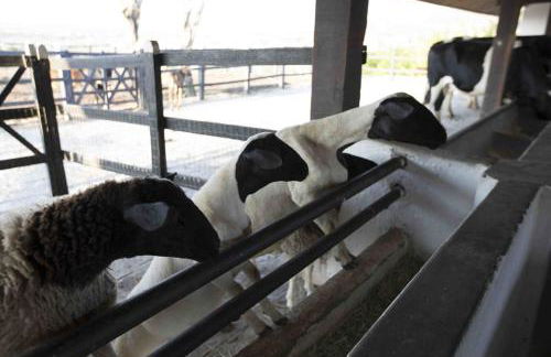 Flat Mobiliado no Condominio Flats Monte Castelo - Gravatá 4B Mod2 - Foto 36