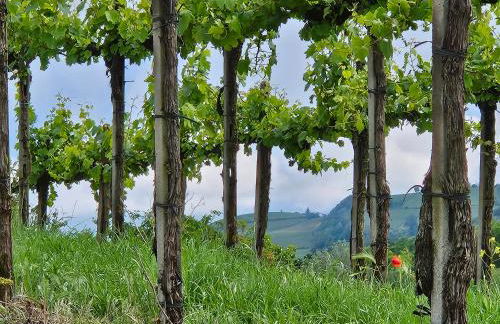 appartement Barbera - Foto 43