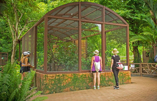 Tour cultural pelo Parque Diamante Eco - Foto 6