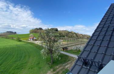 Ferienwohnung Hopfenblick Dachterasse 3SZ Bodenseeregion - Foto 17