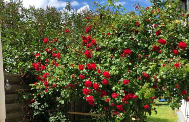 Möwenflug Apartments - Foto 34