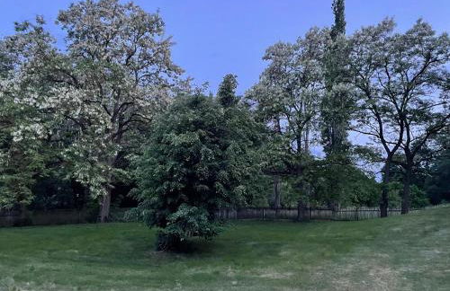 Gartenwohnung - Foto 7