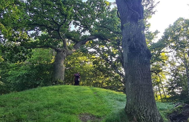 4 Person Holiday Home in Faxe Ladeplads-by Traum - Foto 12