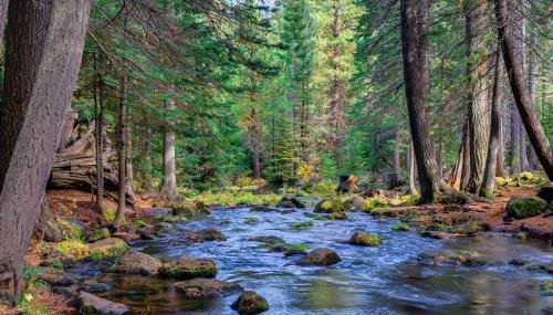 Fairway Haven - Foto 3