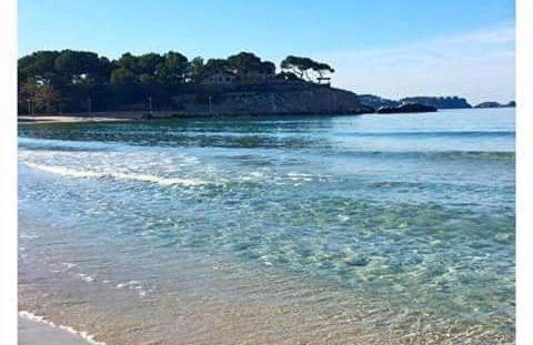 Apartamentos Petit Blau - Foto 11