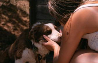 Herdade do Serra - Foto 16