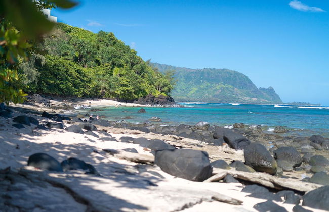 Pali Ke Kua #237 2 Bedroom Condo by RedAwning - Foto 40