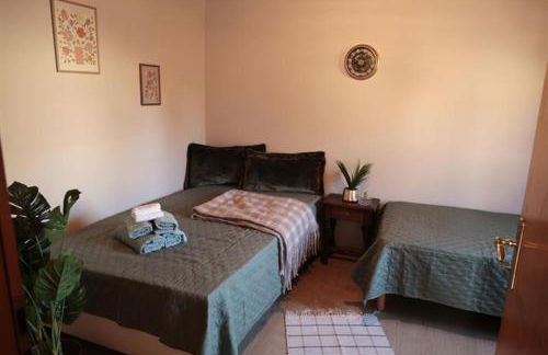 Zurück zur Wurzel - Foto 10