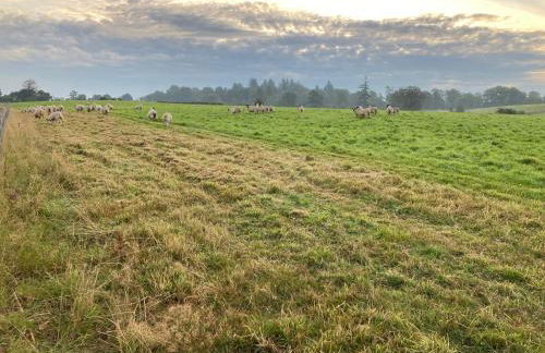 Westertonhill Lodge - 3 Double Bedrooms Sleeps 8 With Private Hot Tub Hire Available - Foto 26