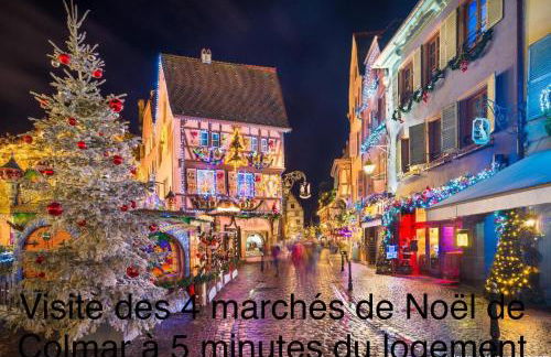 Studio tout confort, à 2 min de Colmar - Foto 14