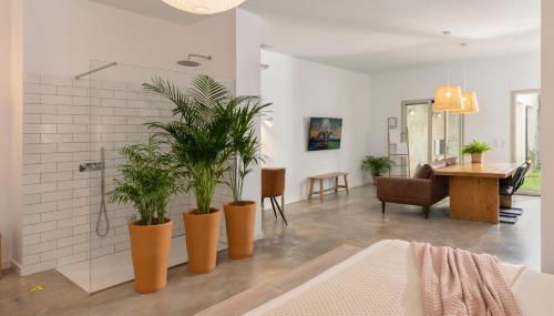 Loft Spa Piscina Climatizada, Cine y Parking - Foto 4