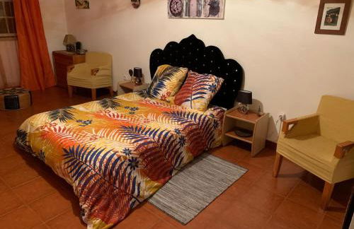 Le Domaine de l’Orangeraie - Foto 13