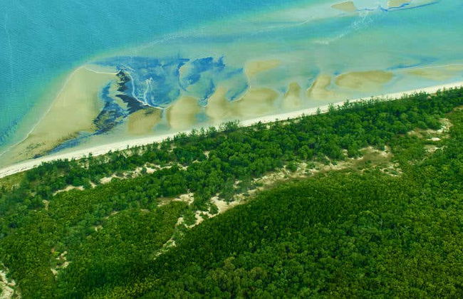 Escursione a Daintree, Mossman Gorge e Cape Tribulation - Photo 1