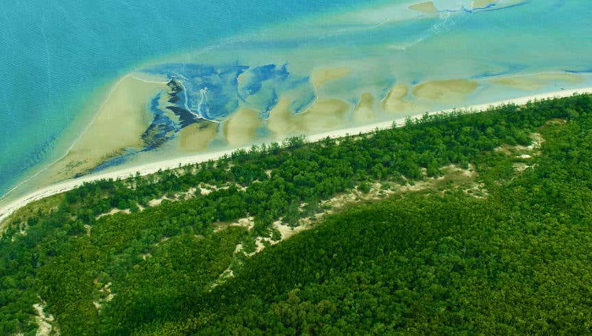 Escursione a Daintree, Mossman Gorge e Cape Tribulation