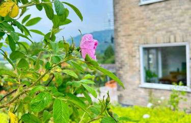 Peak District Tranquillity - Foto 18