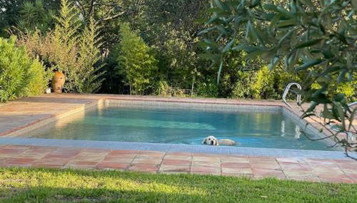 Le Petit Domaine - Foto 5