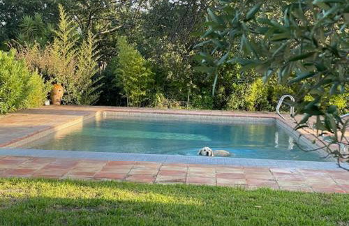 Le Petit Domaine - Foto 5