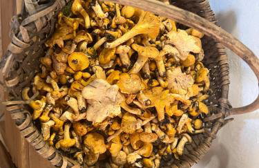 Maso Pallabazzer - Colle Santa Lucia - Foto 30