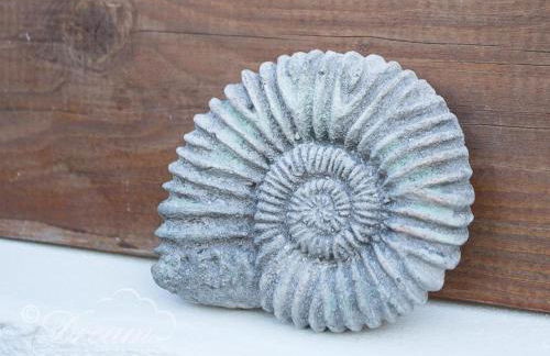 Ammonite Cottage - Foto 23