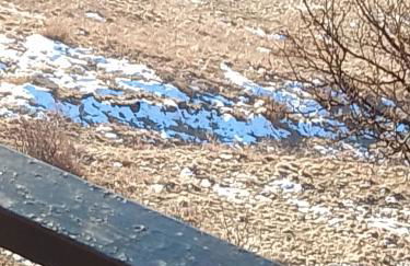 Un balcone sulla Val di Pejo - Foto 21