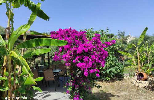 Aglaia House - Foto 21