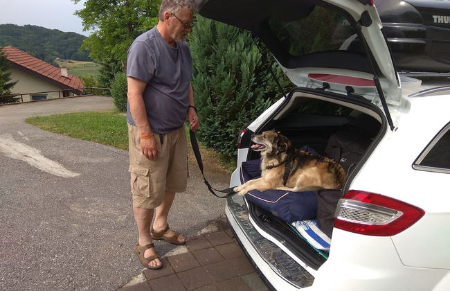 Apartments Country House Stipica - Foto 21