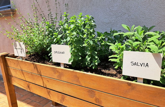 Family Farm Soc. Agricola - Agriturismo - Foto 55