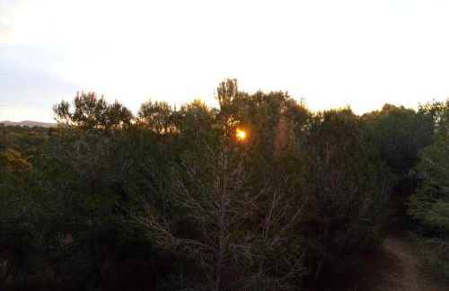 Casa Montemar Algorfa Spain - Foto 29