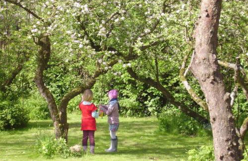 Das Koogsbauernhaus - Foto 11
