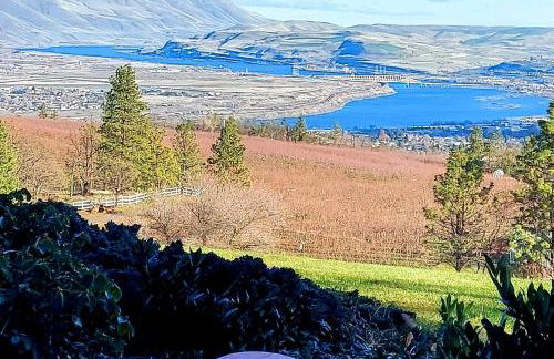 Cherry Heights - Foto 44