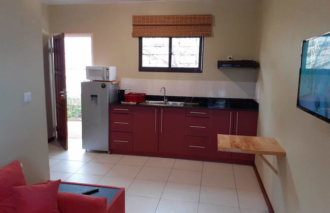 Max Garden and Pool - Photo 31