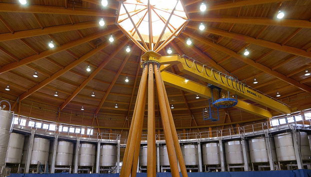 Royal Vineyard (Alava) - Photo 4