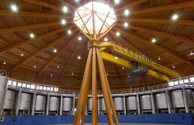 Royal Vineyard (Alava) - Photo 4