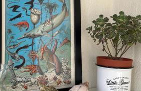 Conforto a 5 min do São Paulo Expo e Jardim Botânico - Foto 22