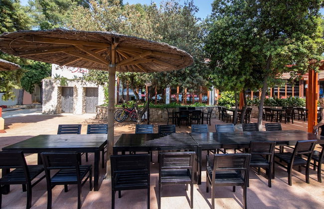 GlampatCamp - Foto 33