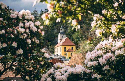 Ferienwohnung 60er Jahre Design Apartment - 65qm Fewo im Zittauer Gebirge - familienfreundliche Unterkunft am Bergfuß zum Töpfer - Foto 28
