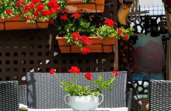 El Refugio - Foto 10