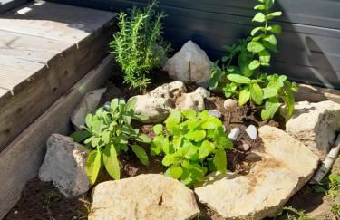 Tinyhouse Wemding - Foto 17