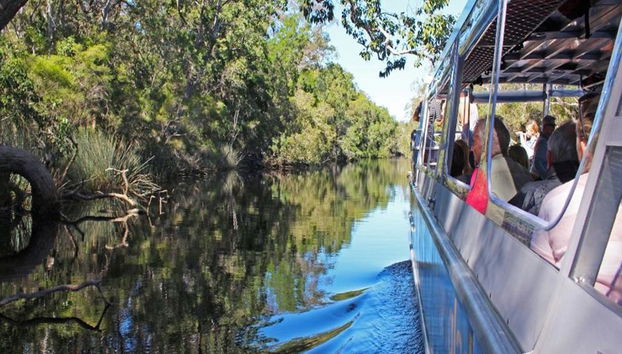 Crucero de serenidad por los Everglades de Noosa - Medio día - Foto 5