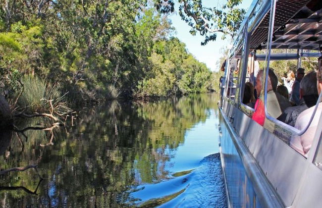 Crucero de serenidad por los Everglades de Noosa - Medio día - Foto 5