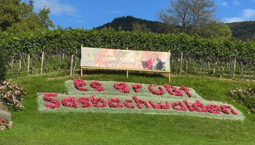 Schwarzwaldloge Zeitlos - Foto 2