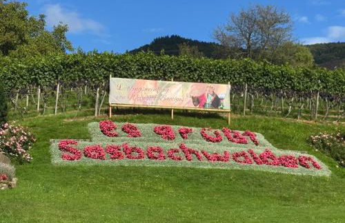 Schwarzwaldloge Zeitlos - Foto 2