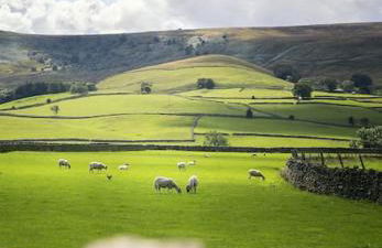 White Cottage deluxe 2 bedroom apartment - Foto 13