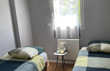 Appart spacieux 6 pers proche centre ville et gare Laval - Parking privé securisé - Photo 22