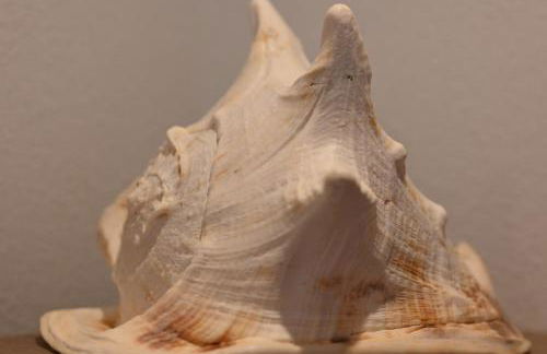 Apartment im Bellerbektal - Foto 55