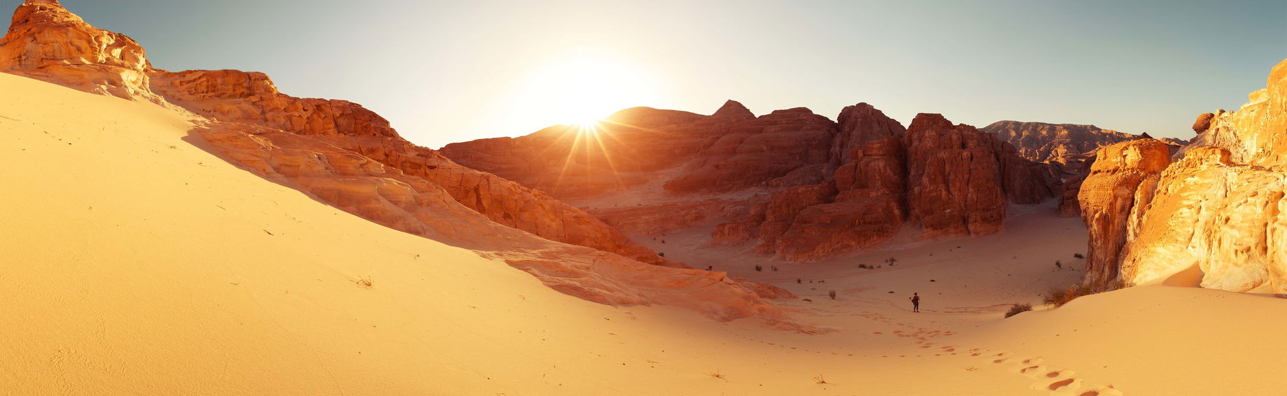 Sinai Desert Trip with Dinner and Show