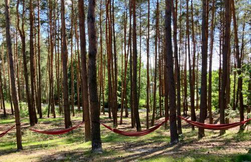 Góra Spokoju Osada klimatyczna-leśna - Foto 15