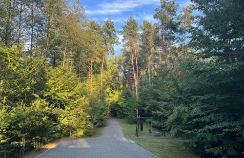 Forest Cabin Nest-Family Retreat for 7 with Sauna & Hot tub - Foto 24