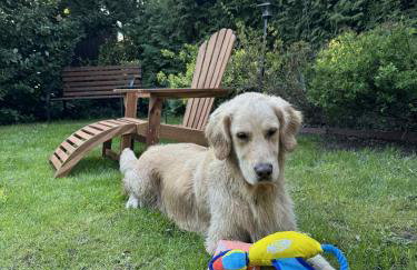 Dom wakacyjny Pawelkowo - Foto 43